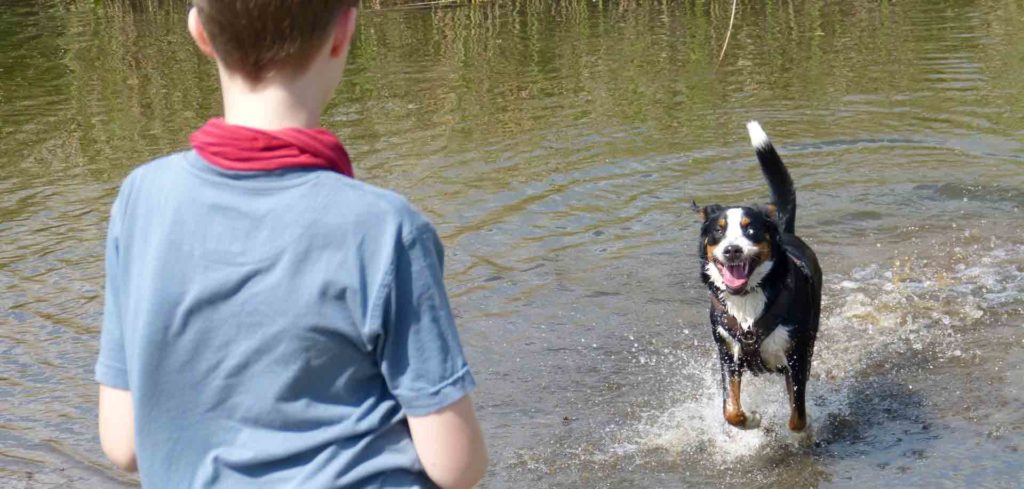 Kind &amp; Hund HUNDECOUCH